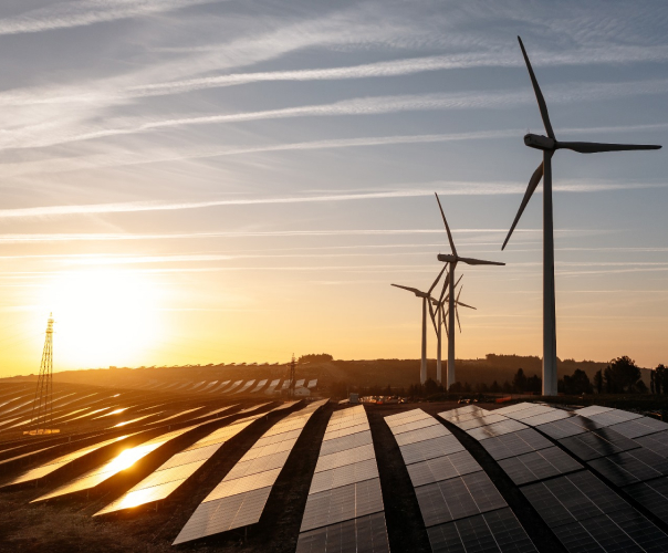 wind turbines and solar pannels