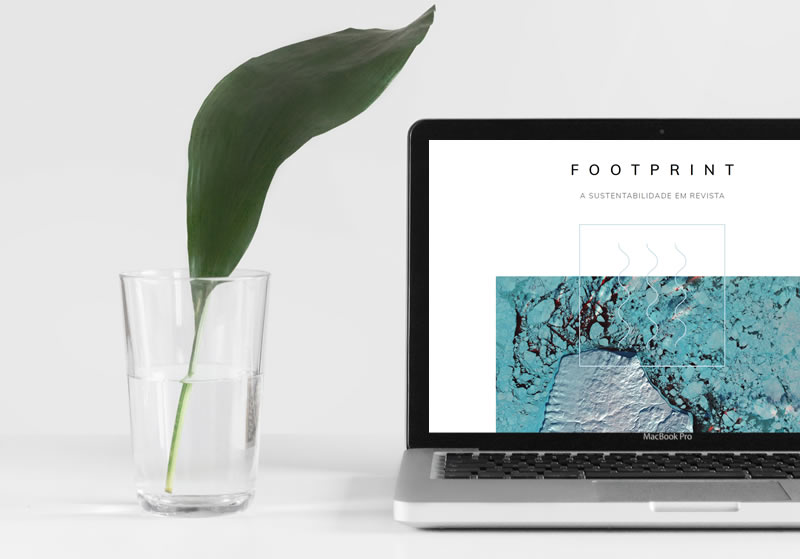 footprint.jpg