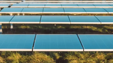 harvest_solar_banner_web.jpg harvest_solar_banner_web.jpg