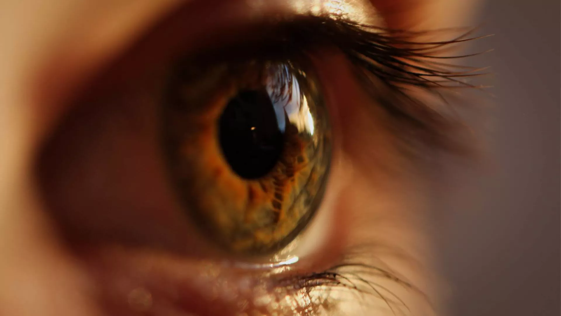 eye