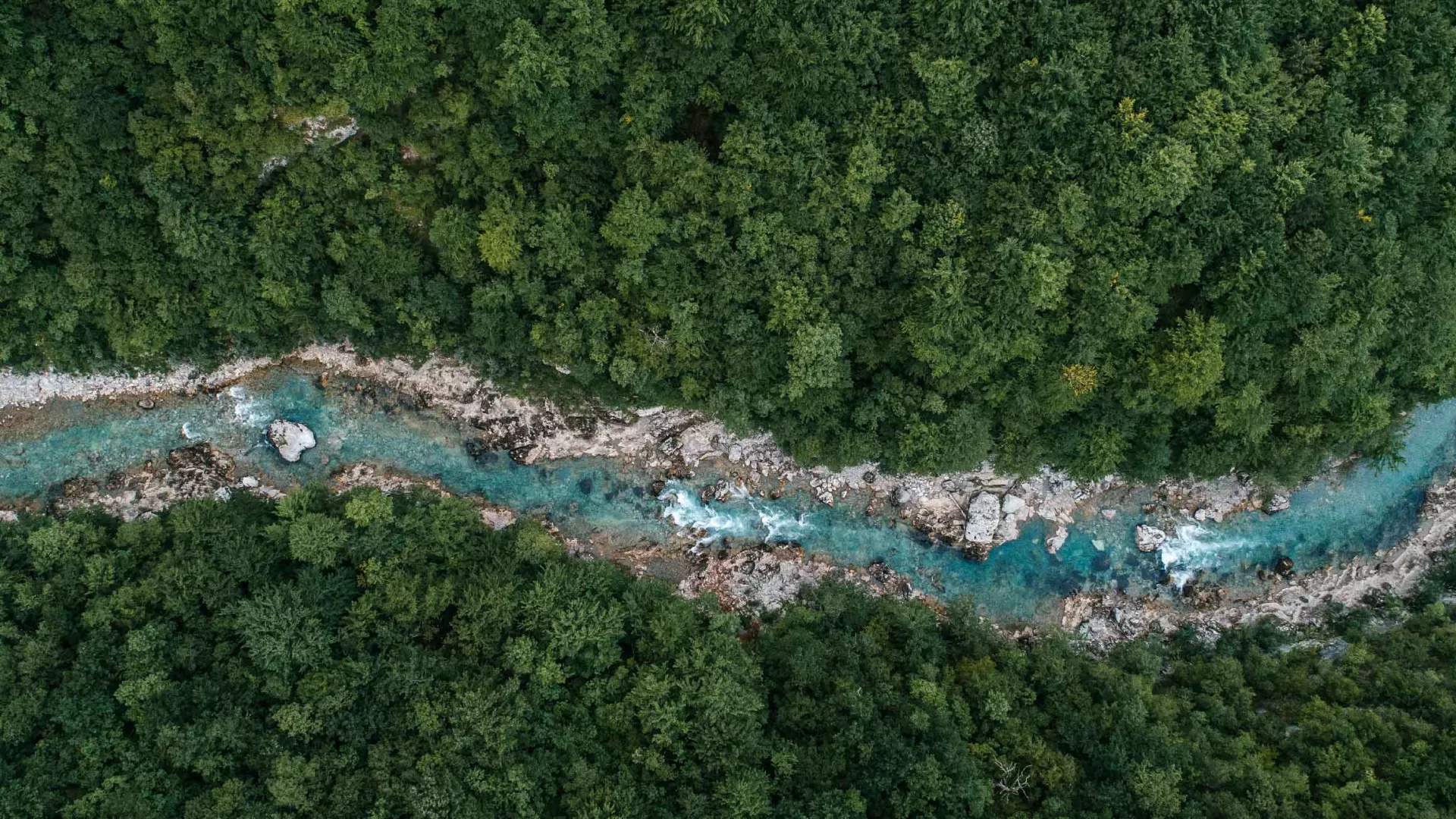 Nature_Stream_decarbonization.jpg Nature_Stream_decarbonization.jpg
