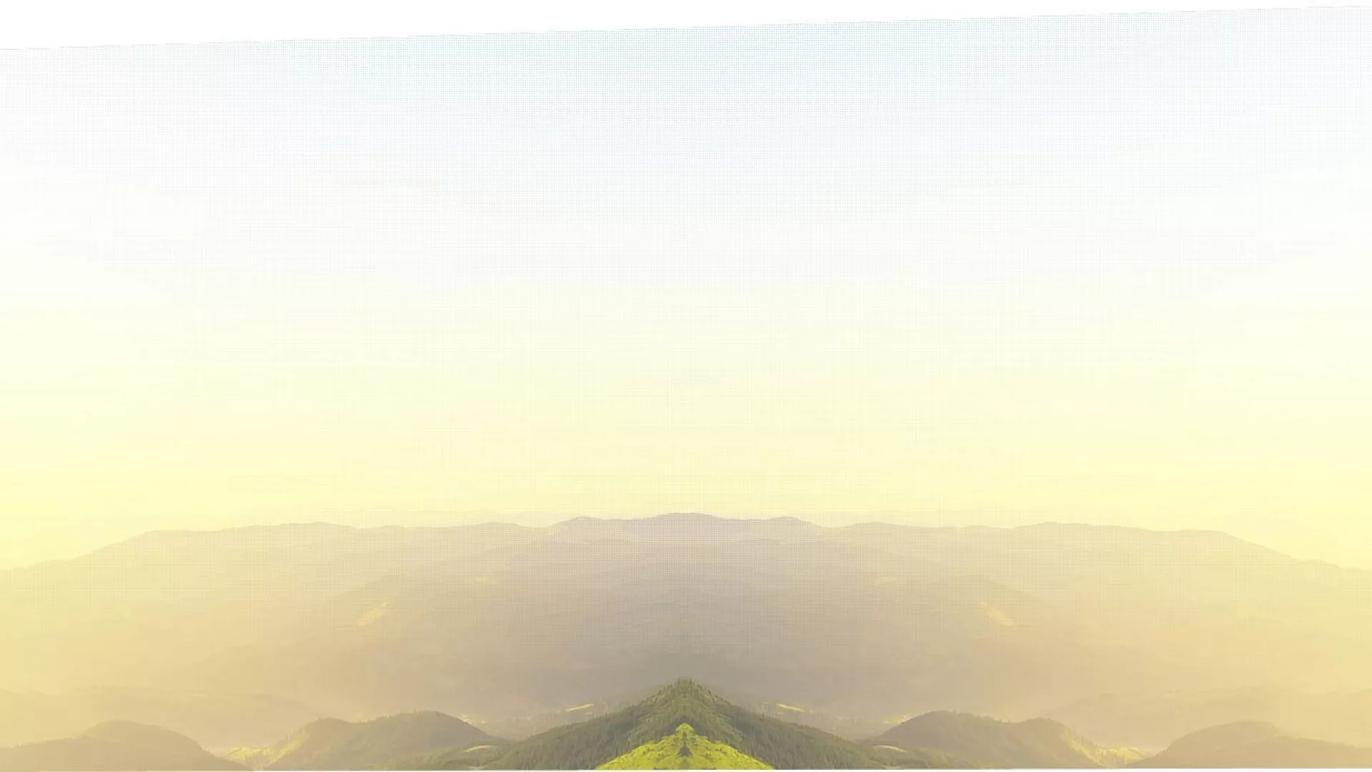 bg2_1.jpg bg2_1.jpg