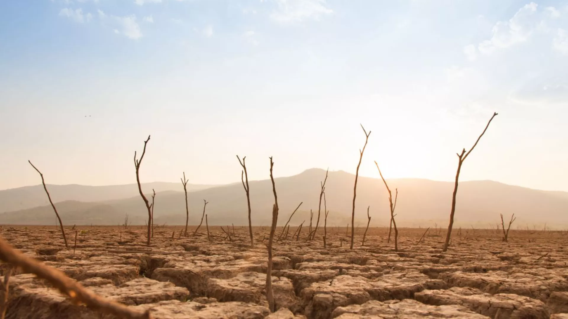 climate%20change.jpg climate%20change.jpg