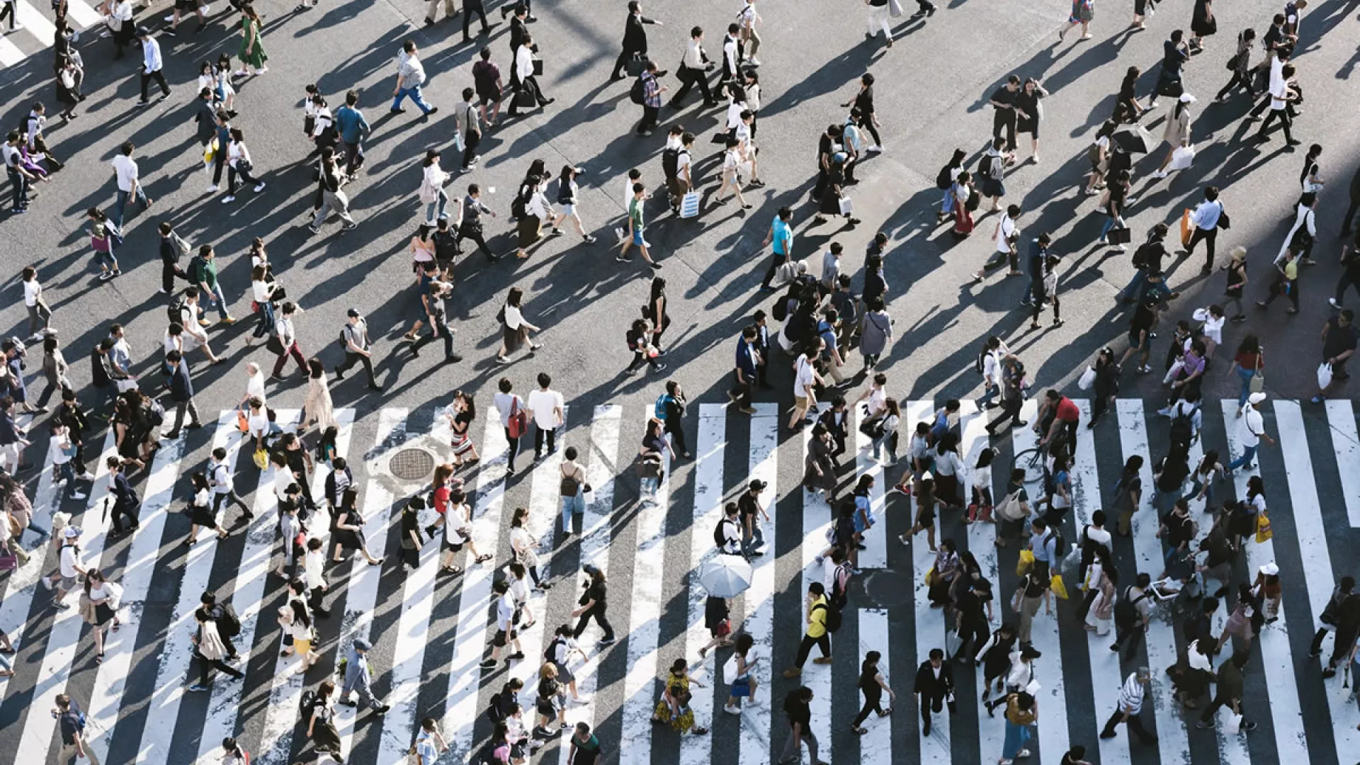 crosswalk.jpg crosswalk.jpg