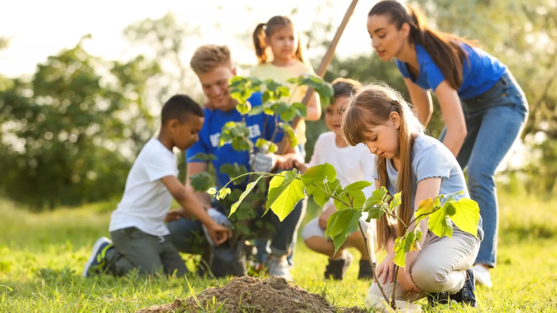 environmental-education.jpg environmental-education.jpg