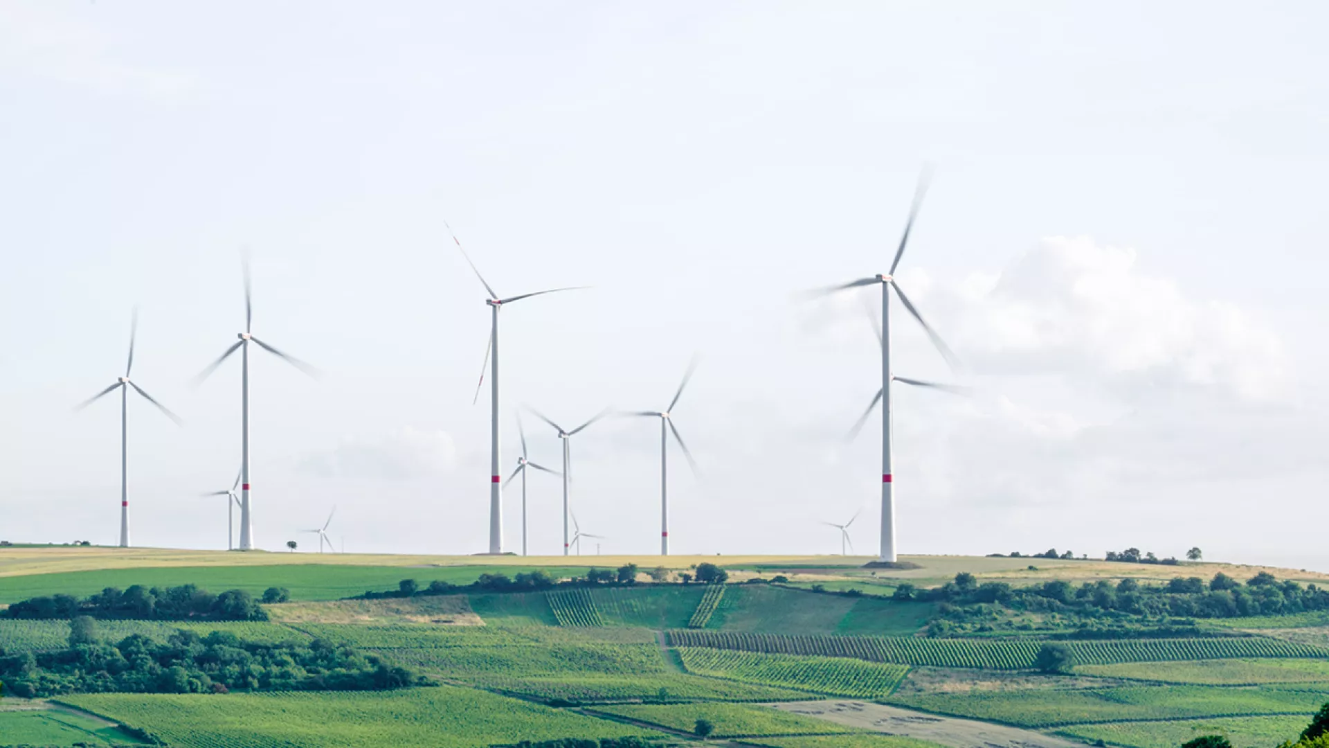 eolicas-edp-energia-renovavels_0.jpg eolicas-edp-energia-renovavels_0.jpg