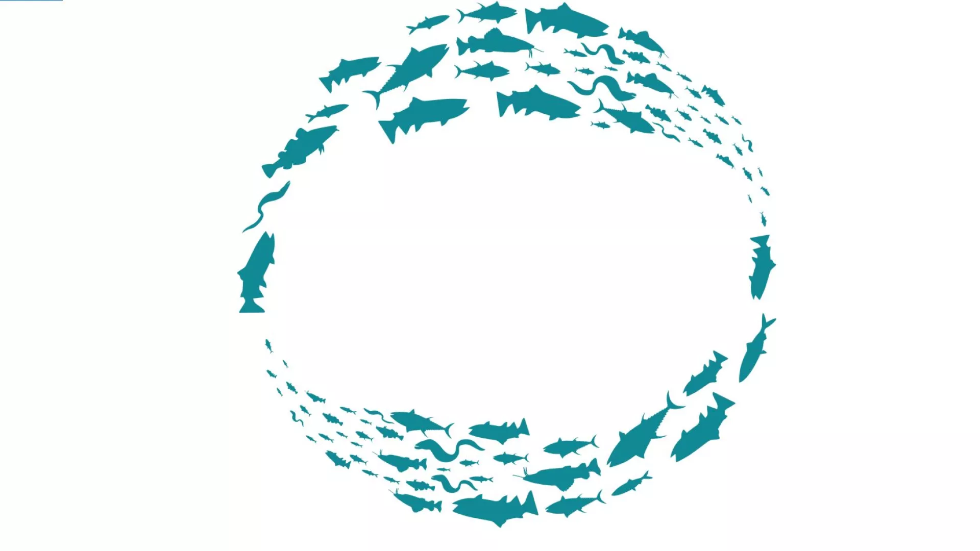 fishday_0.JPG fishday_0.JPG