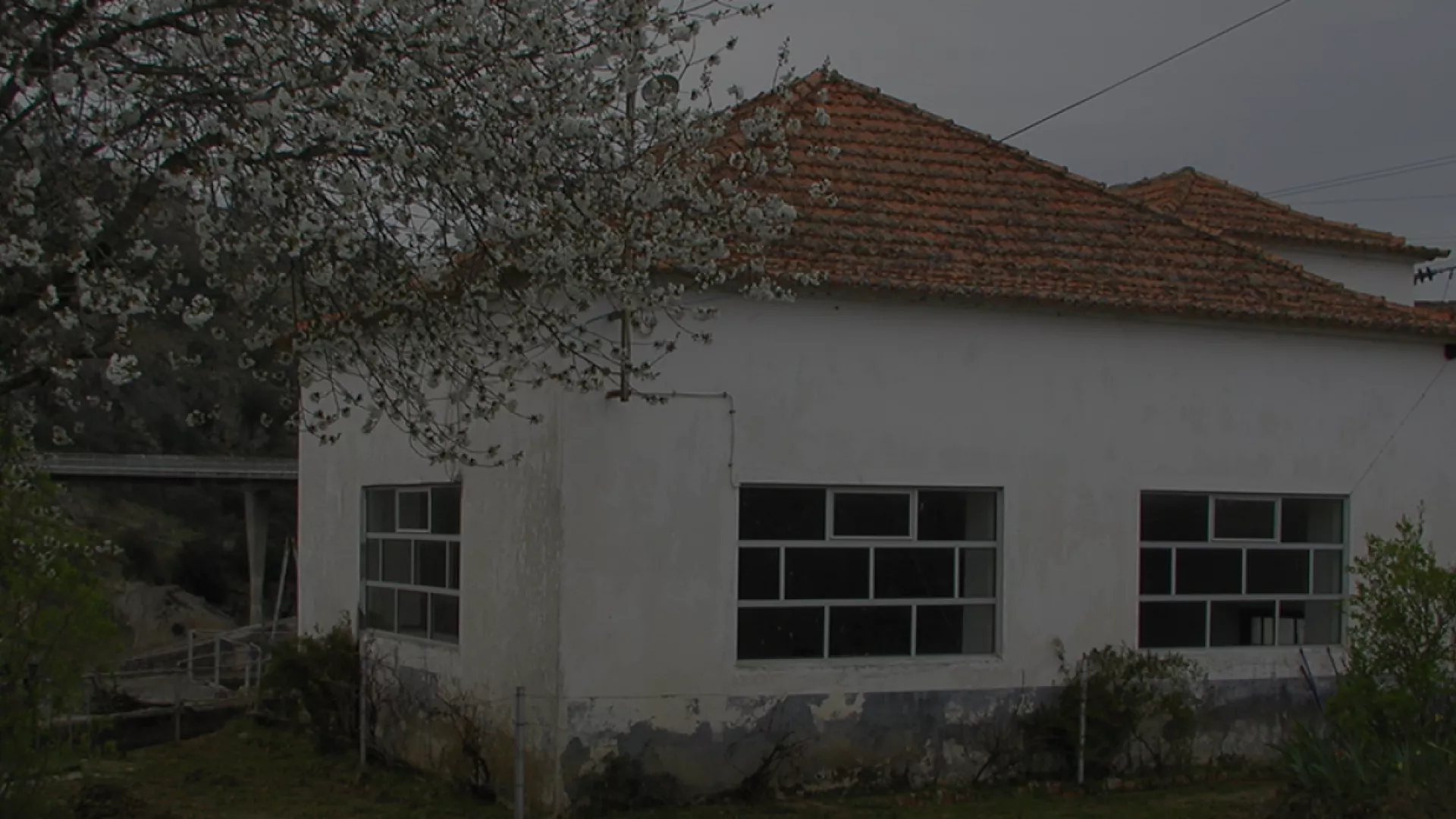 header_riba_coa.png header_riba_coa.png