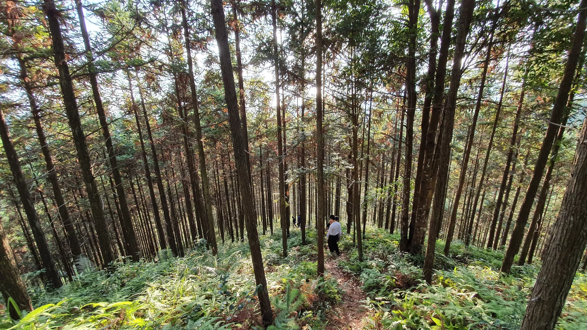 ken-shono-_hlI1eHnH9E-unsplash.jpg ken-shono-_hlI1eHnH9E-unsplash.jpg
