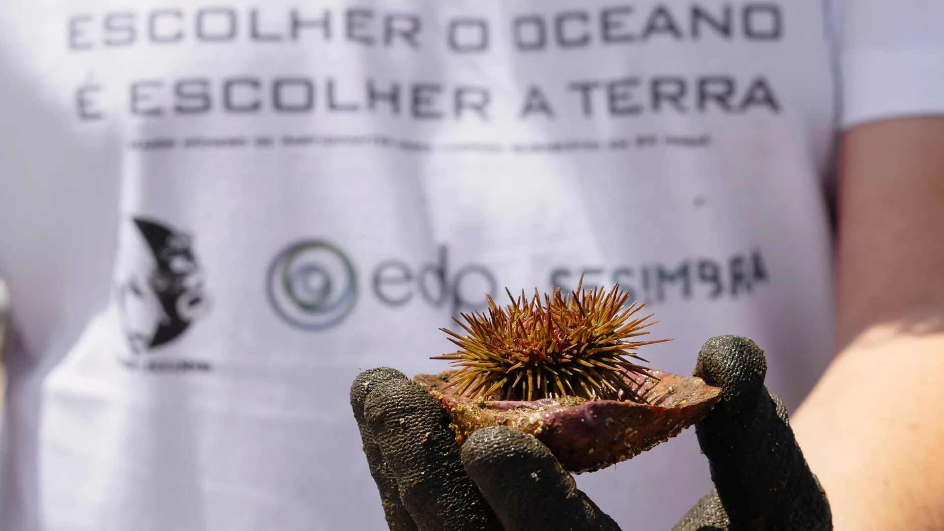 oceano%20%282%29_3.jpg