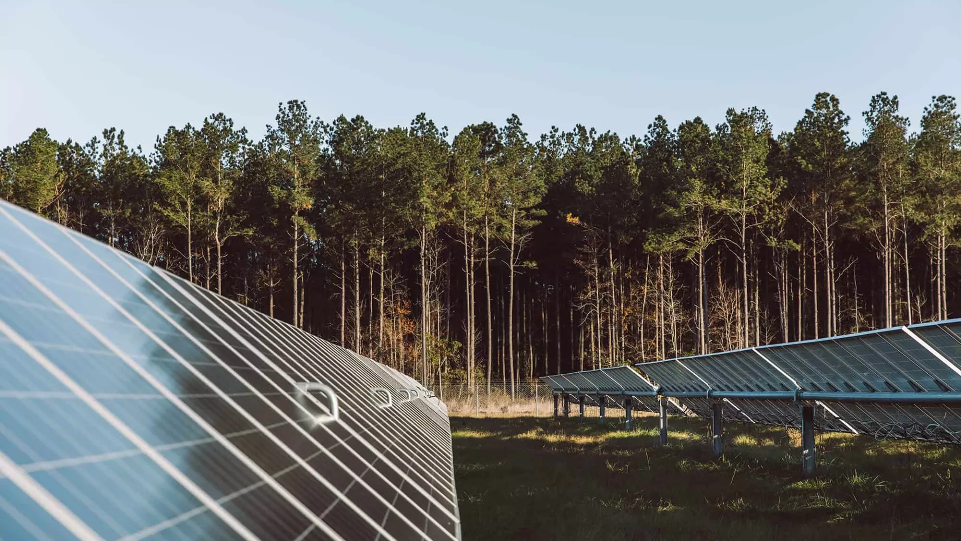 sc_solarpark_2018-141-1.jpg sc_solarpark_2018-141-1.jpg