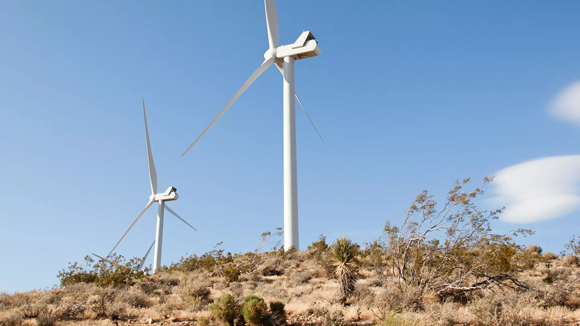 wind_banner_desert_hill_web.jpg