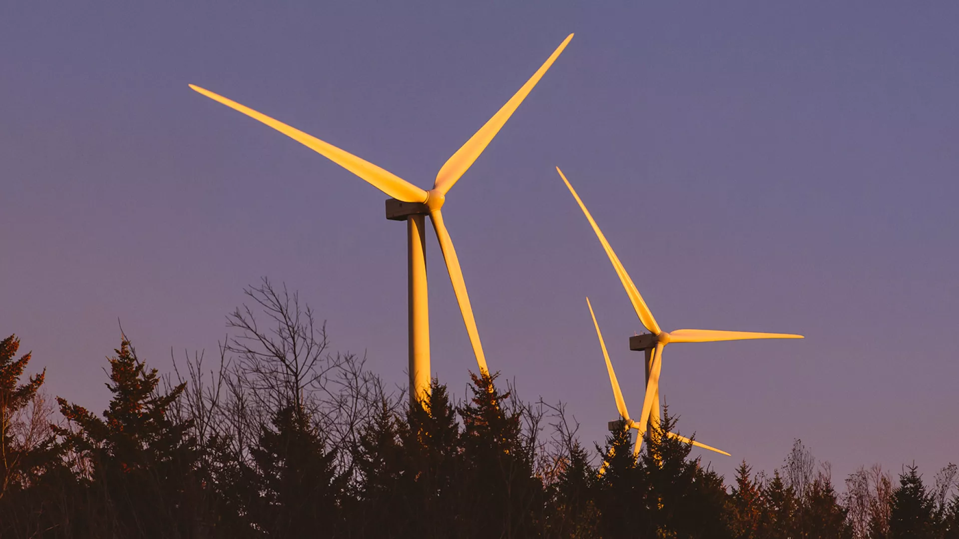 wind_banner_sunset2_web.jpg wind_banner_sunset2_web.jpg