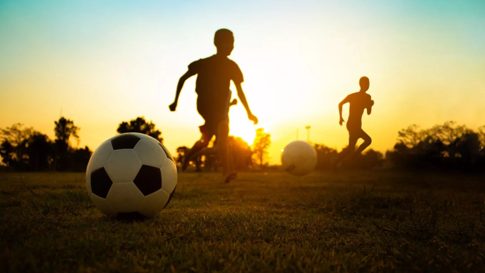 Sports%20for%20Life%20Project.jpg Sports%20for%20Life%20Project.jpg