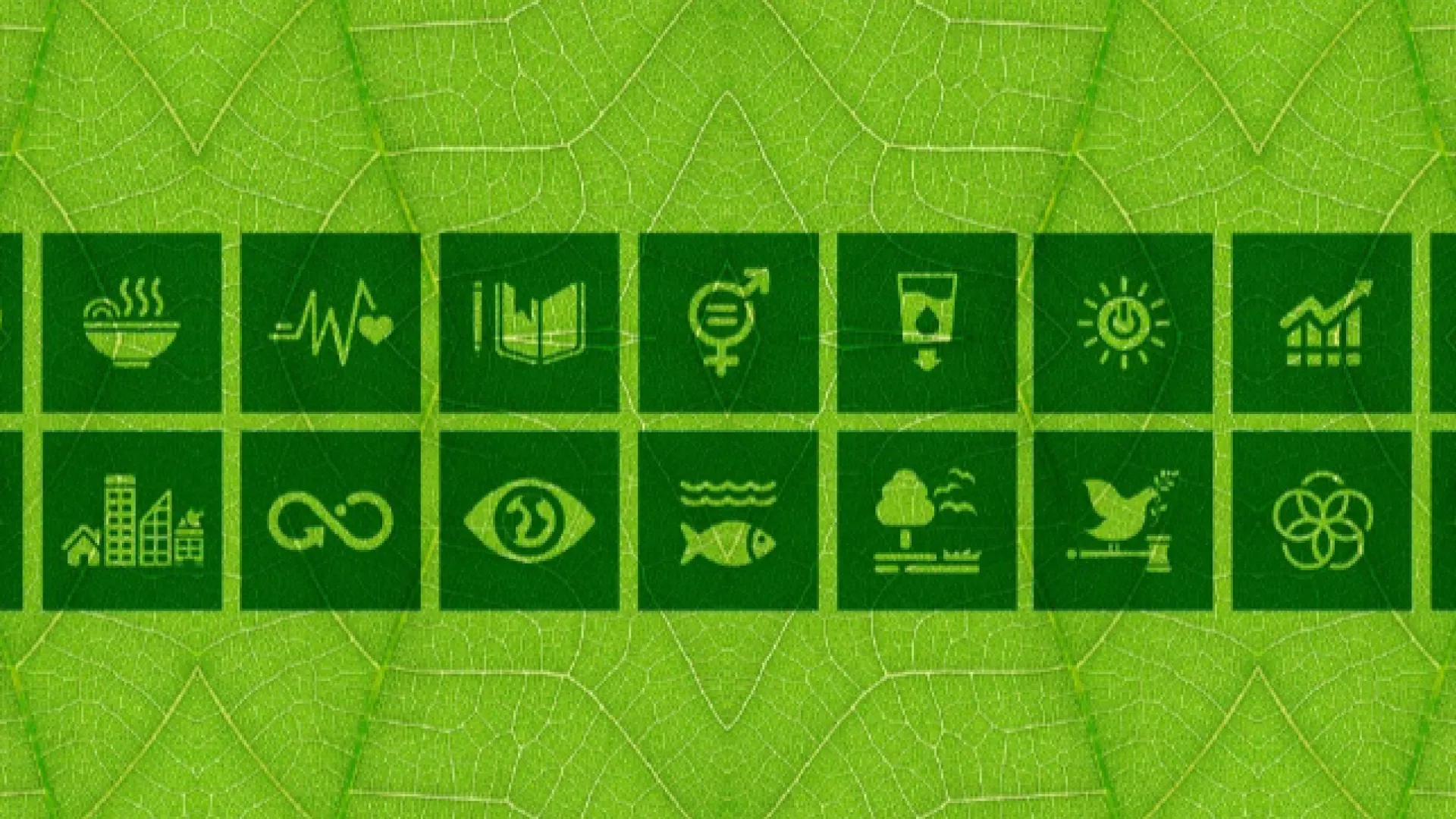 edpr-apac-resources-singapore-green-plan.jpg