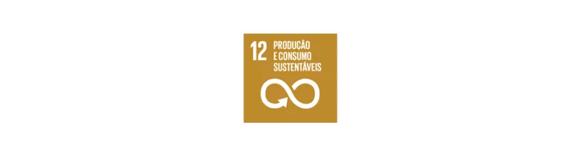 ods12-consumo-e-producao-responsaveis.png
