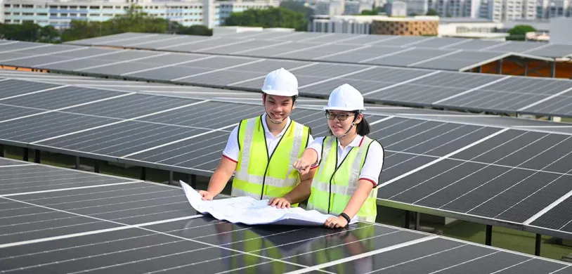 Employees-at-Solar-Farms-1.jpg