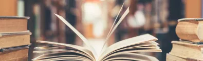 Vagalume%20Libraries.jpg