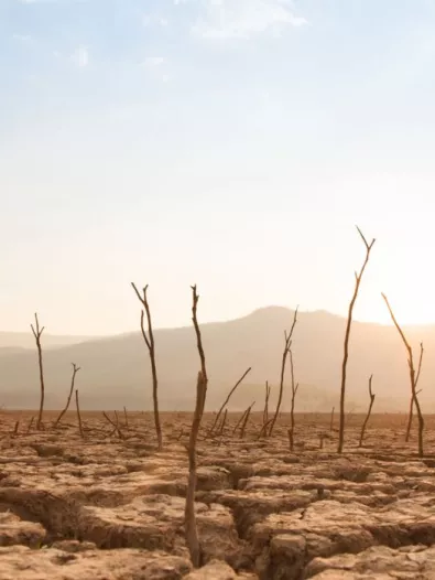climate%20change.jpg