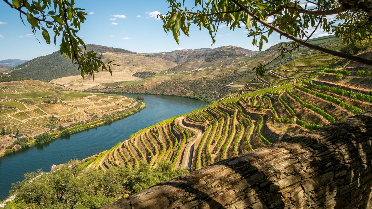 Rio Douro